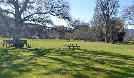 Wheelchair-accessible Riverside Lodge image