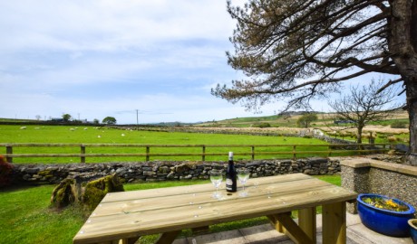 Bryn Ystrad Llyn image