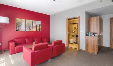 Luxury City Centre Hotel image