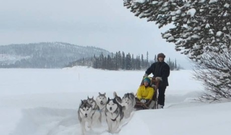 Accessible Swedish Lapland Apartments image