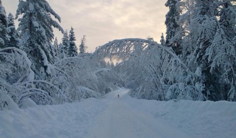 Accessible Swedish Lapland Apartments image