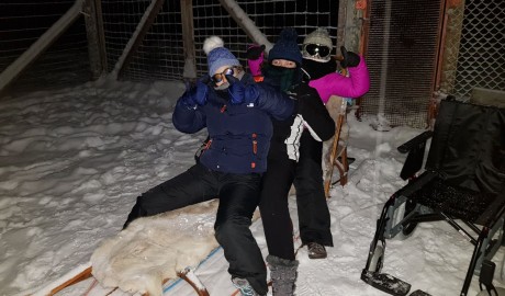 Accessible Swedish Lapland Apartments image