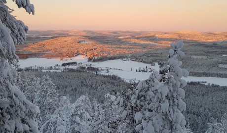 Accessible Swedish Lapland Apartments image