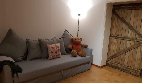 Accessible Swedish Lapland Apartments image