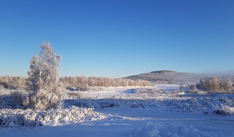Accessible Swedish Lapland Apartments image