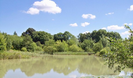 Accessible Countryside Hotel image