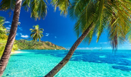 P&O South Pacific Cruises image