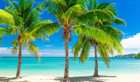 P&O South Pacific Cruises image