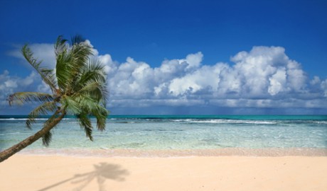 P&O South Pacific Cruises image
