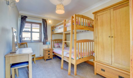 Blaenilar image