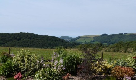 Blaenilar image