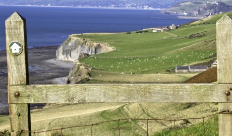 Blaenilar image