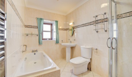 Blaenilar image