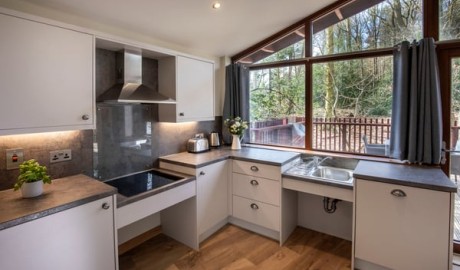 Forest Lodge with Hot Tub and Hoist image