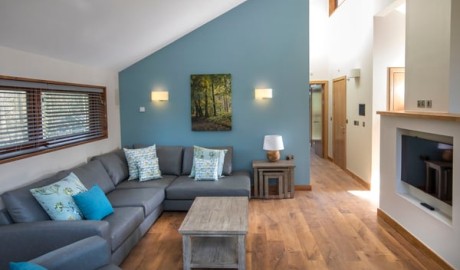 Forest Lodge with Hot Tub and Hoist image