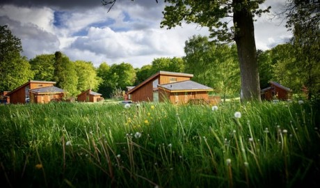 Forest Lodge with Hot Tub and Hoist image