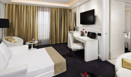 5-Star Accessible Hotel image