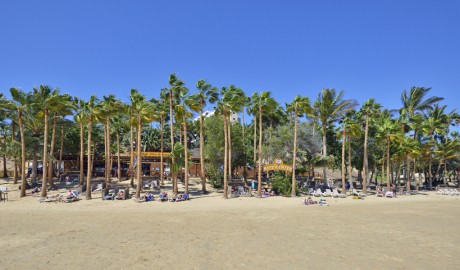 Accessible Beach Hotel image