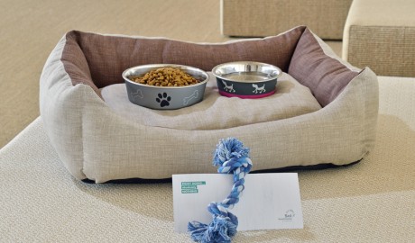 Accessible Beach Hotel image