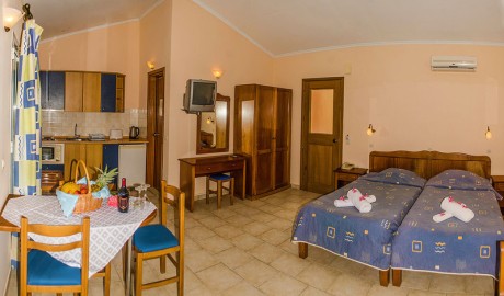 Wheelchair-Friendly Apartments image