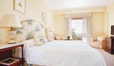 Luxury Hotel image