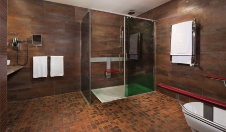 Accessible 5 Star Hotel image