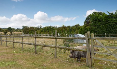 Accessible Country Cottage image