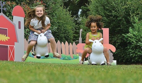 Accessible Caravan image