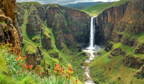 Group escorted accessible safari image