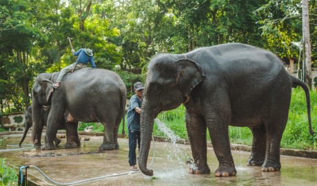 Thailand - Bangkok & Beaches (Group tour) image
