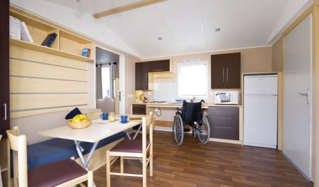 Comfort (wheelchair adapted) image