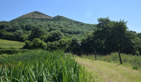 Old Henhouse Hideaway image