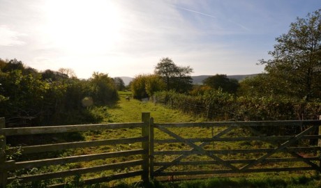 Old Henhouse Hideaway image