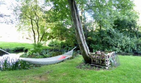 Woodland Cottage image
