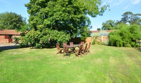 The Orchard image