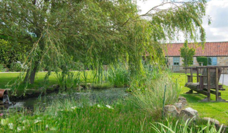 Accessible Countryside Cottage image