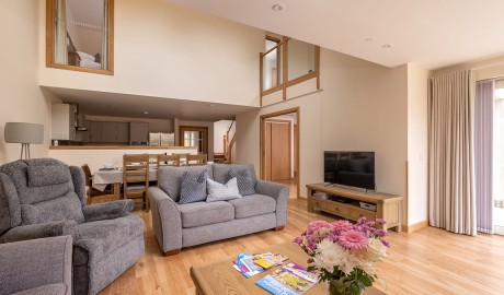 Accessible Woodland Lodge image