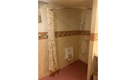Disney's Sequoia Lodge image