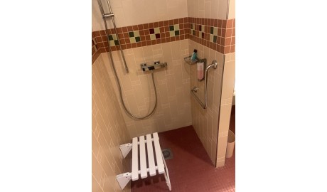 Disney's Sequoia Lodge image