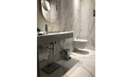 Luxury 5-Star Hotel image
