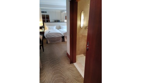 Luxury Hotel image
