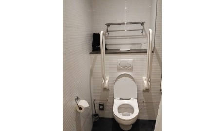 Toilet with rails