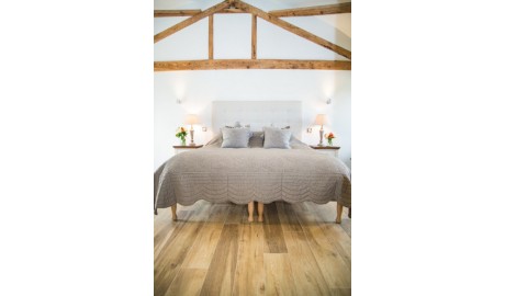 Luxury Accessible Studio image