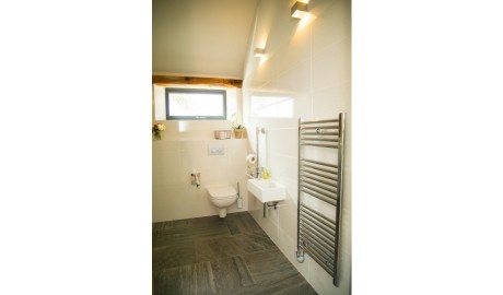 Luxury Accessible Studio image