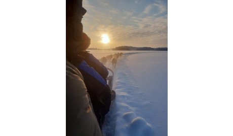 Accessible Swedish Lapland Apartments image