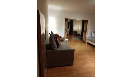 Accessible Swedish Lapland Apartments image