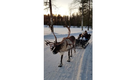 Accessible Swedish Lapland Apartments image