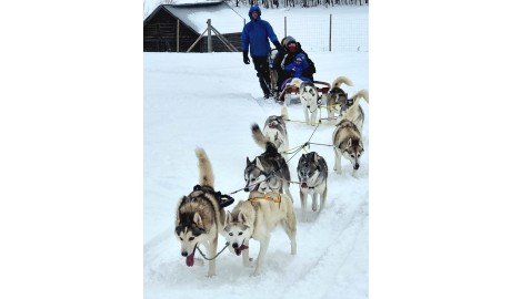 Accessible Swedish Lapland Apartments image
