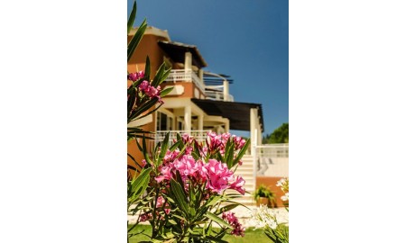 Wheelchair-Friendly Apartments image