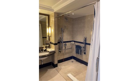 Luxurious London Hotel image